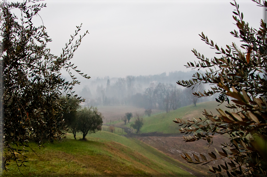 foto Colline di Romano d'Ezzelino nella Nebbia